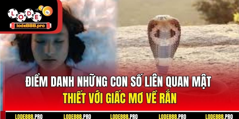 Điểm danh những con số liên quan mật thiết với giấc mơ về rắn