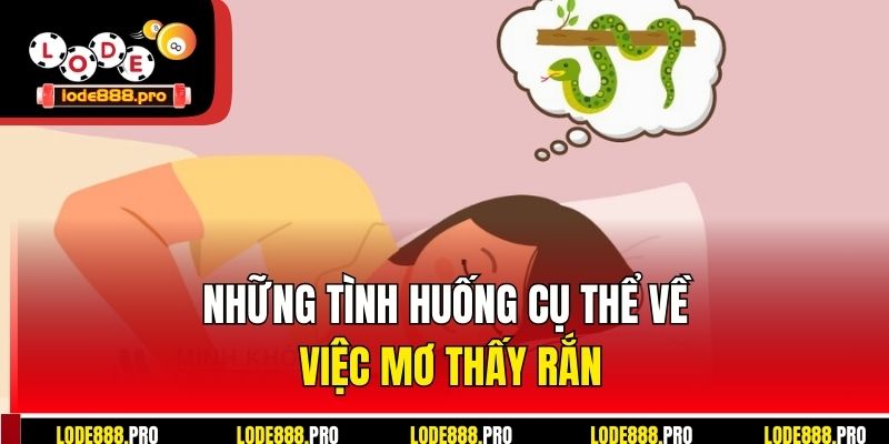 Những tình huống cụ thể về việc mơ thấy rắn