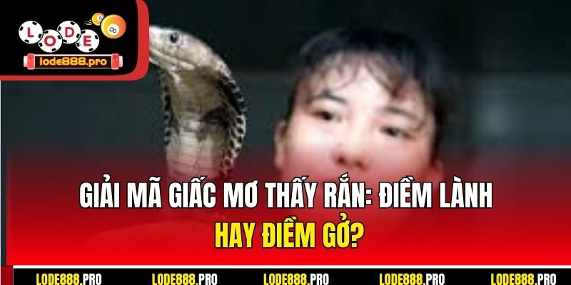 Giải mã giấc mơ thấy rắn: điềm lành hay điềm gở?